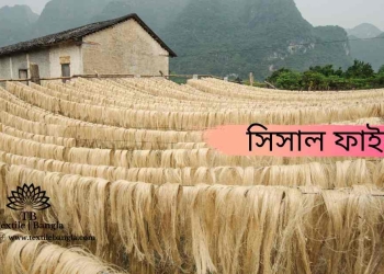 Detailed discussion about sisal fiber