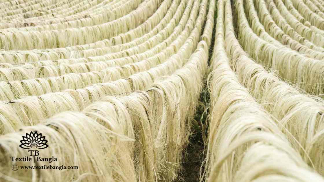 Detailed discussion about sisal fiberDetailed discussion about sisal fiber