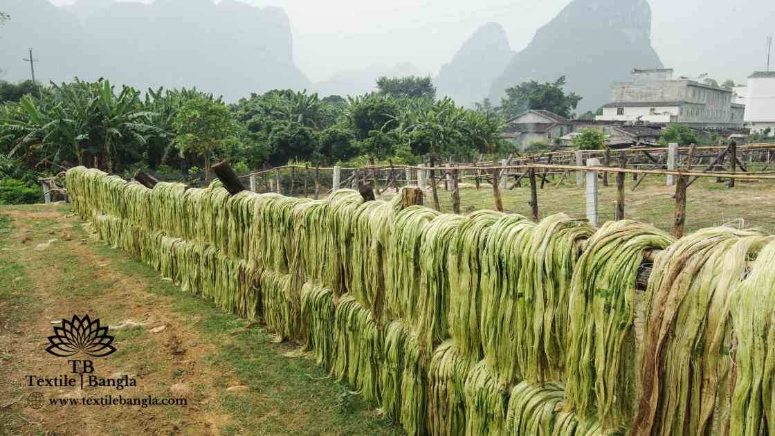 Detailed discussion about sisal fiber